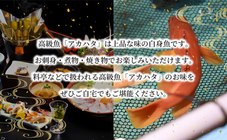 KU015＜2026年7月より順次発送＞宮崎県串間産アカハタ(計約2kg・4～8匹)延縄漁による朝どれ高級魚を漁師直送！