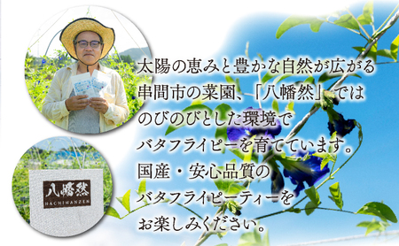 無農薬 バタフライピー ティーバッグ たっぷり３０日セット