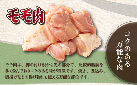 TRT02 <小分け・カット済み> 鶏肉モモ切身3kgセット