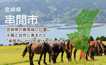 TRT08 若鶏4kgビッグセット