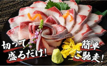 KU281-1-2509 ＜2025年9月発送分＞活じめ！黒瀬ぶりの生鮮ブリロイン（400g前後）