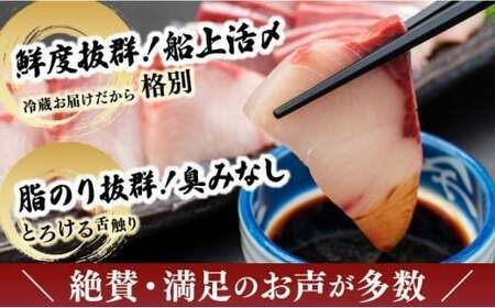 KU281-2＜2026年1月発送分＞活じめ！黒瀬ぶりの生鮮ブリロイン2節?3節（400g前後）