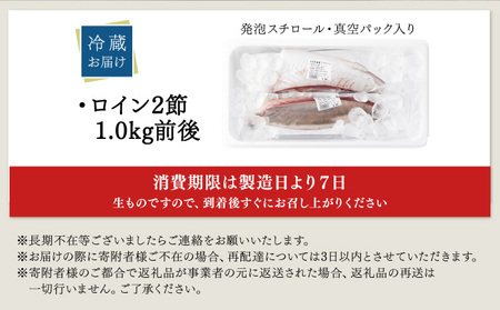 KU281<2026年1月発送分>活じめ!黒瀬ぶりの生鮮ブリロイン2節(1.0kg前後)