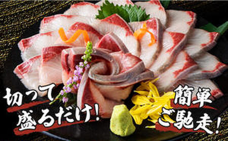 KU281<2026年2月発送分>活じめ!黒瀬ぶりの生鮮ブリロイン2節(1.0kg前後)