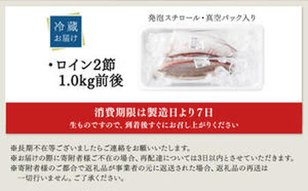 KU281<2026年2月発送分>活じめ!黒瀬ぶりの生鮮ブリロイン2節(1.0kg前後)