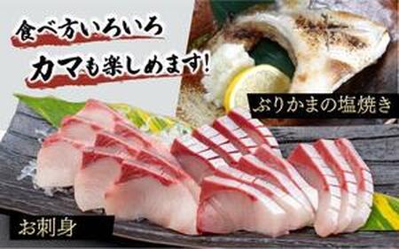 KRBF15 活じめ！黒瀬ぶりの生鮮ブリフィレー 1.5kg前後 (2026年2月配送)