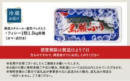 KRBF15 活じめ！黒瀬ぶりの生鮮ブリフィレー 1.5kg前後 (2026年2月配送)