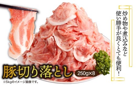 ＜2026年1月発送分＞宮崎県産 豚肉切り落とし 250g×8パック 合計2kg