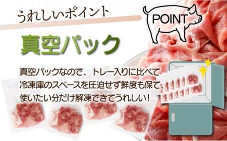 ＜2026年1月発送分＞宮崎県産 豚肉切り落とし 250g×8パック 合計2kg
