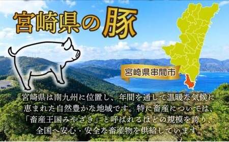 ＜2026年1月発送分＞宮崎県産豚バラエティー2.1kgセット