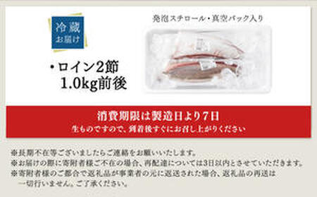 KU281＜2026年3月発送分＞活じめ！黒瀬ぶりの生鮮ブリロイン2節（1.0kg前後）