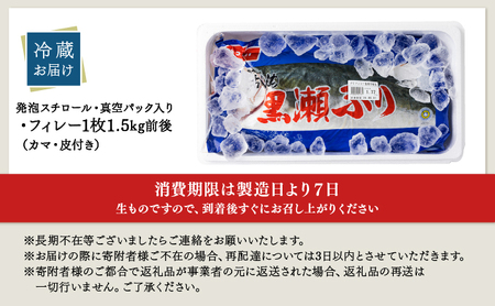 高評価!活じめ!黒瀬ぶりの生鮮ブリフィレー 1.5kg前後 (2026年4月発送)_K001-003