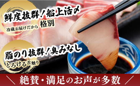 KU281-1＜2026年4月発送分＞活じめ！黒瀬ぶりの生鮮ブリロイン２節（400g前後）