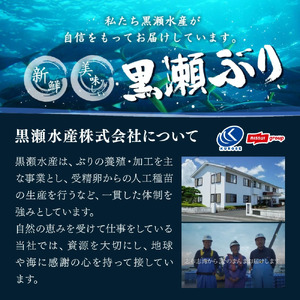 【4月発送】活じめ!黒瀬ぶりカマ(5枚入)(800g~1.2kg前後)_K001-014