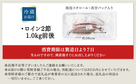 KU281＜2026年5月発送分＞活じめ！黒瀬ぶりの生鮮ブリロイン2節（1.0kg前後）