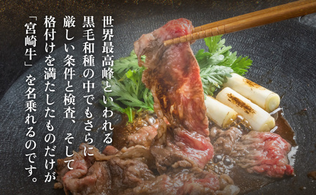 KU207 <冷凍>A4等級以上!宮崎牛切り落とし(250g×2P・計500g)とろける旨み!【スーパーほりぐち】