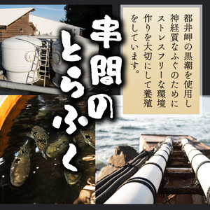 AB-CD1 ＜毎月数量限定＞年末年始や宴会に！とらふく本格刺身セット(2人前)【大田商店】