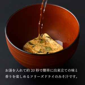 V-A2 創業昭和元年の串間の味をお手軽に！松尾の即席みそ汁(25食)【松尾醸造場】