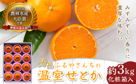 AD-AB2 農林水産大臣賞受賞農園！ふるやさんちの温室せとか＜秀品＞(約3kg・8～12玉入)化粧箱入【ふるやさんちのみかん園】