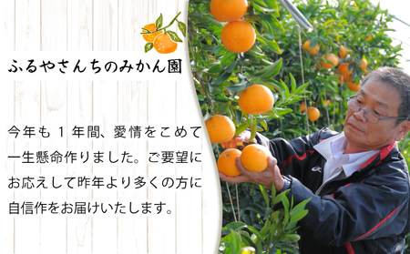 AD-AB2 農林水産大臣賞受賞農園！ふるやさんちの温室せとか＜秀品＞(約3kg・8～12玉入)化粧箱入【ふるやさんちのみかん園】