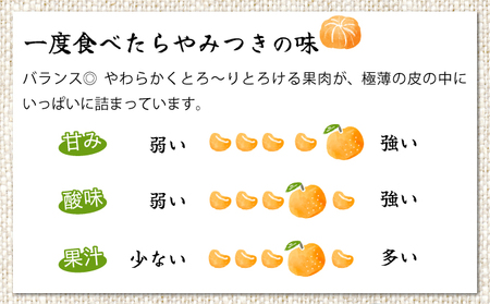 AD-AB2 農林水産大臣賞受賞農園！ふるやさんちの温室せとか＜秀品＞(約3kg・8～12玉入)化粧箱入【ふるやさんちのみかん園】