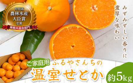 AD-AB1 ＜訳あり＞農林水産大臣賞受賞農園！ふるやさんちの温室せとか(約5kg・20～24玉※サイズ混合)【ふるやさんちのみかん園】
