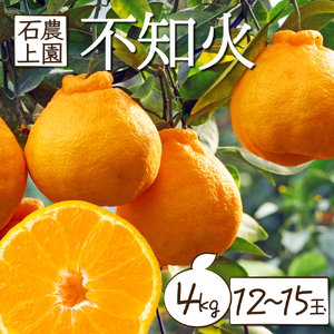 AF-A3 【先行予約】串間市都井「石上農園」の不知火4kg(12～15玉)【石上農園】