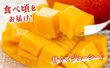 KU019 ＜令和8年発送分　先行予約！＞＜数量限定＞宮崎完熟マンゴー(2L×2玉) 宮崎県産の完熟マンゴー 