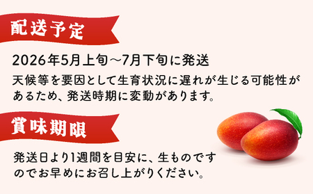 KU019 ＜令和8年発送分　先行予約！＞＜数量限定＞宮崎完熟マンゴー(2L×2玉) 宮崎県産の完熟マンゴー 