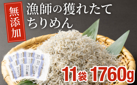 KU096 漁師のとれたてちりめん 計1.76kg(160g×11袋)【株式会社猪塚水産】【KU096】