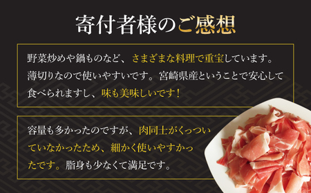 KU092-1 【数量限定】宮崎県産豚こま切れ 計1kg(200g×5パック) 便利な個包装 【KU092】