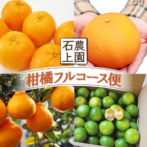 KU167 【先行予約】【定期便・全4回】石上農園から自慢の柑橘フルコース便 【石上農園】