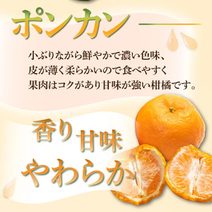 KU167 【先行予約】【定期便・全4回】石上農園から自慢の柑橘フルコース便 【石上農園】