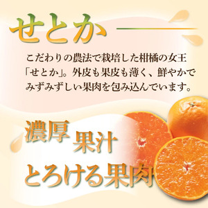 KU167 【先行予約】【定期便・全4回】石上農園から自慢の柑橘フルコース便 【石上農園】