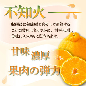 KU167 【先行予約】【定期便・全4回】石上農園から自慢の柑橘フルコース便 【石上農園】