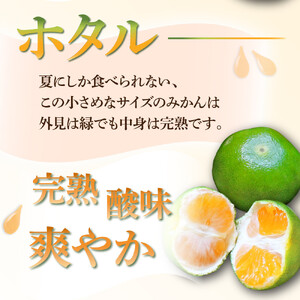 KU167 【先行予約】【定期便・全4回】石上農園から自慢の柑橘フルコース便 【石上農園】