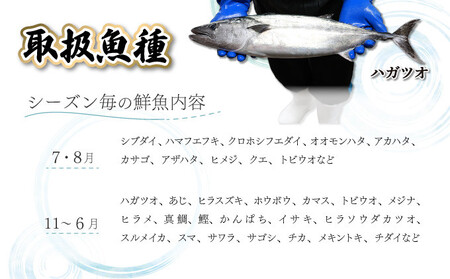 KU070 【先行予約】宮崎県串間産 朝獲れ鮮魚セット計約3～4kg(4～5種)  【豊漁丸】【KU070】