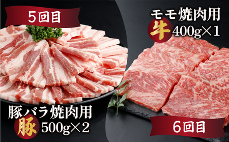 KU305【定期便・全6回】宮崎牛と宮崎産豚肉 6ヶ月定期便！計3.7kg