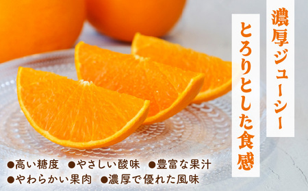 KU302 ≪数量限定・A級品≫ 順子姉さんのひっぱりだこ愛情せとか 2.5kg