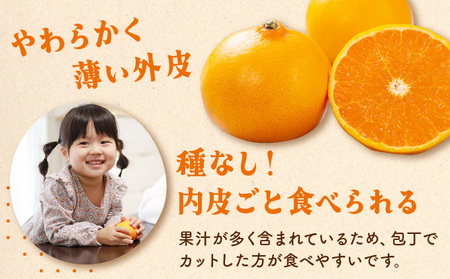 KU302 ≪数量限定・A級品≫ 順子姉さんのひっぱりだこ愛情せとか 2.5kg