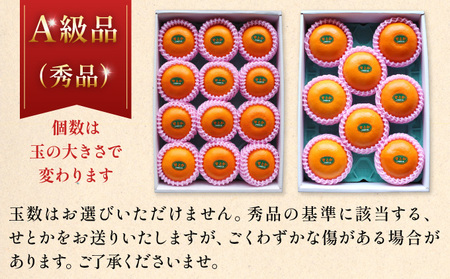 KU302 ≪数量限定・A級品≫ 順子姉さんのひっぱりだこ愛情せとか 2.5kg