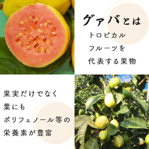 KU324 宮崎県串間市産 グァバ茶 (230g×5袋) 【宮崎果汁】