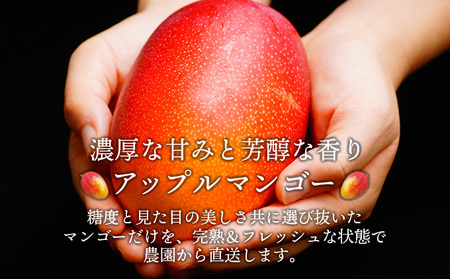 KU325 「ご家庭用」宮崎完熟マンゴー(約1.8kg・大小混合3～5個) 【やました農園】