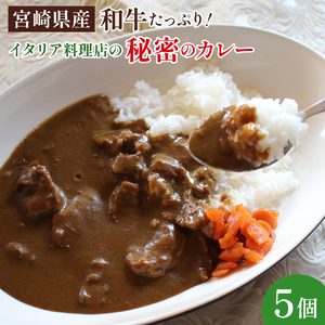 KU398 南国の宮崎でひっしで働いてきたイタリア料理店の秘密のカレー 900g（180g×5パック）【タヴェルナアルポルト】