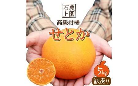KU430 数量限定！串間市都井「石上農園」わけあり せとか(約5kg 16～20玉)【石上農園】