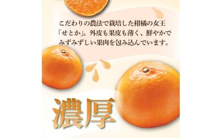 KU430 数量限定！串間市都井「石上農園」わけあり せとか(約5kg 16～20玉)【石上農園】