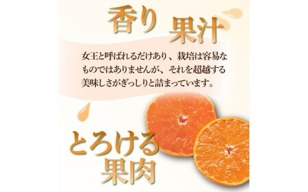 KU430 数量限定！串間市都井「石上農園」わけあり せとか(約5kg 16～20玉)【石上農園】