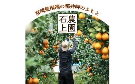 KU430 数量限定！串間市都井「石上農園」わけあり せとか(約5kg 16～20玉)【石上農園】