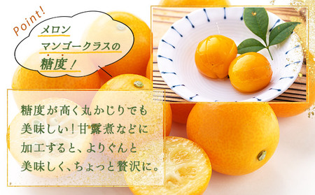 KU445 【プレミアム】選りすぐりの大玉完熟きんかん１kg【玉様ファーム】