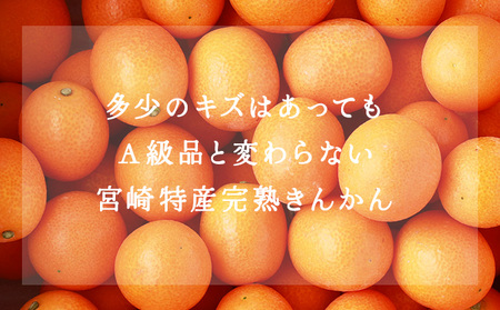 KU446 【訳あり】完熟きんかん１kg Ｌ～3Ｌサイズ 【玉様ファーム】